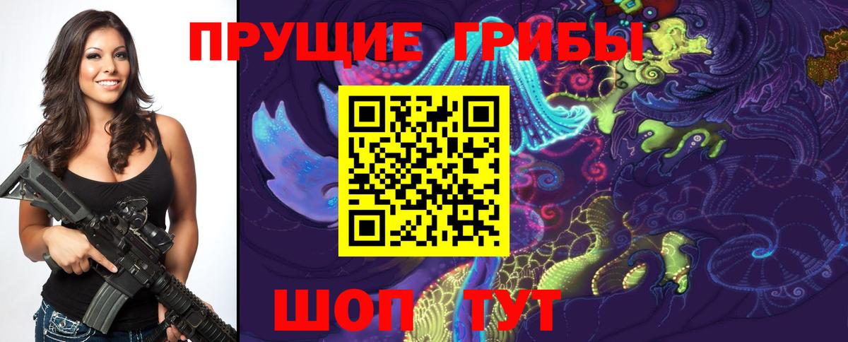 Псилоцибиновые грибы Psilocybe Юрга