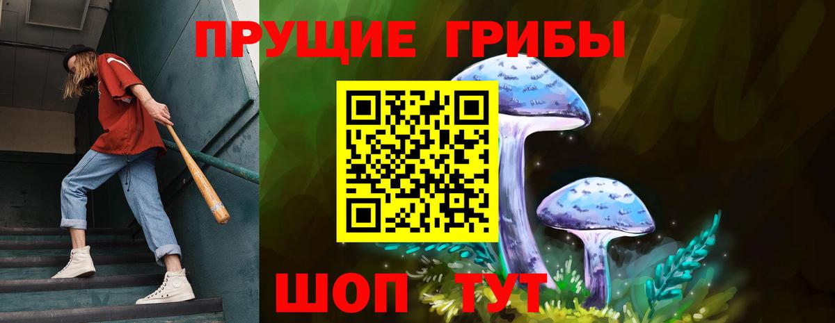 Юрга  Галлюциногенные грибы Psilocybe  Вход с VPN 